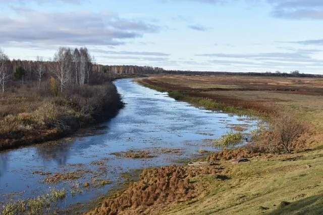 р.Плотниковка.
